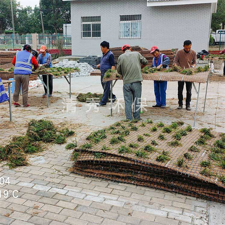 12南京欣旺花苑生態(tài)沉床